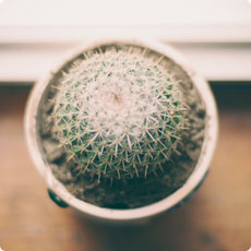 网页在线DDOS压力测试