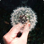 服务器攻击软件